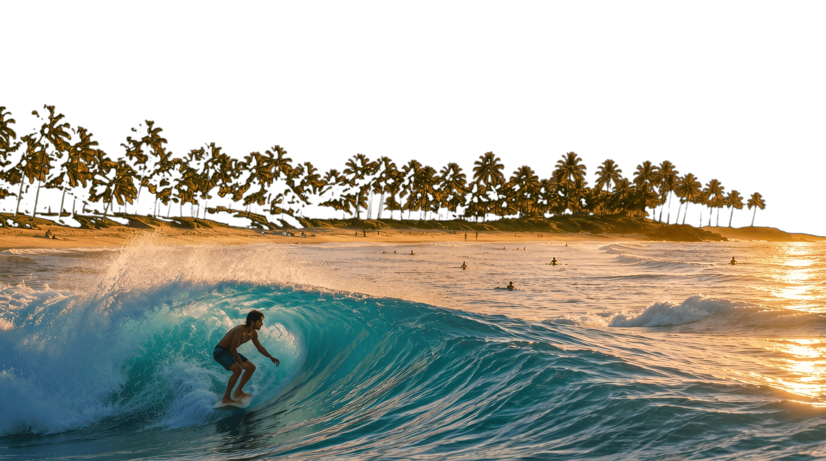 South Coast beach tour