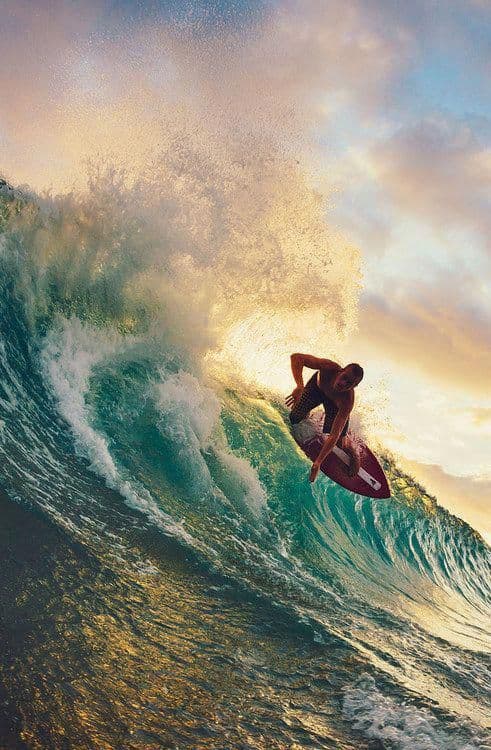 Beaches & Surf - detail
